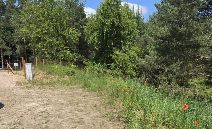 działka na sprzedaż - Sicienko, Kruszyn