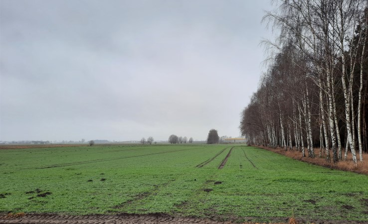 działka na sprzedaż - Szubin (gw), Łachowo