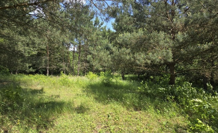 działka na sprzedaż - Sicienko, Kruszyn