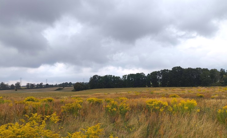 działka na sprzedaż - Sicienko, Zielonczyn