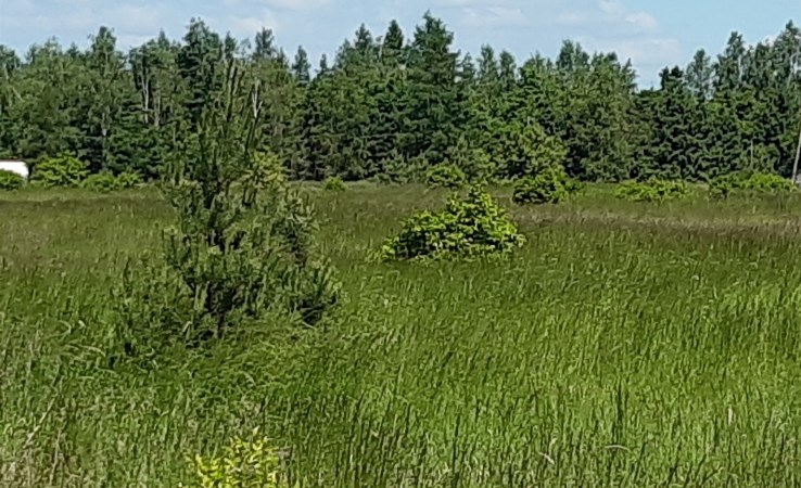 działka na sprzedaż - Bydgoszcz, Fordon