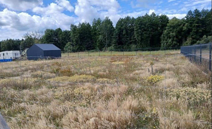 działka na sprzedaż - Szubin, Rynarzewo
